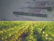 nature-field-forest-agriculture-money